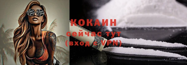 прущие грибы Богородск
