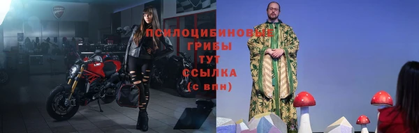прущие грибы Богородск