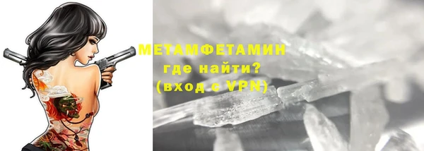 прущие грибы Богородск